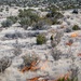 Kirtland Air Force Base Prescribed Burn