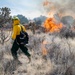 Kirtland Air Force Base Prescribed Burn