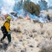 Kirtland Air Force Base Prescribed Burn