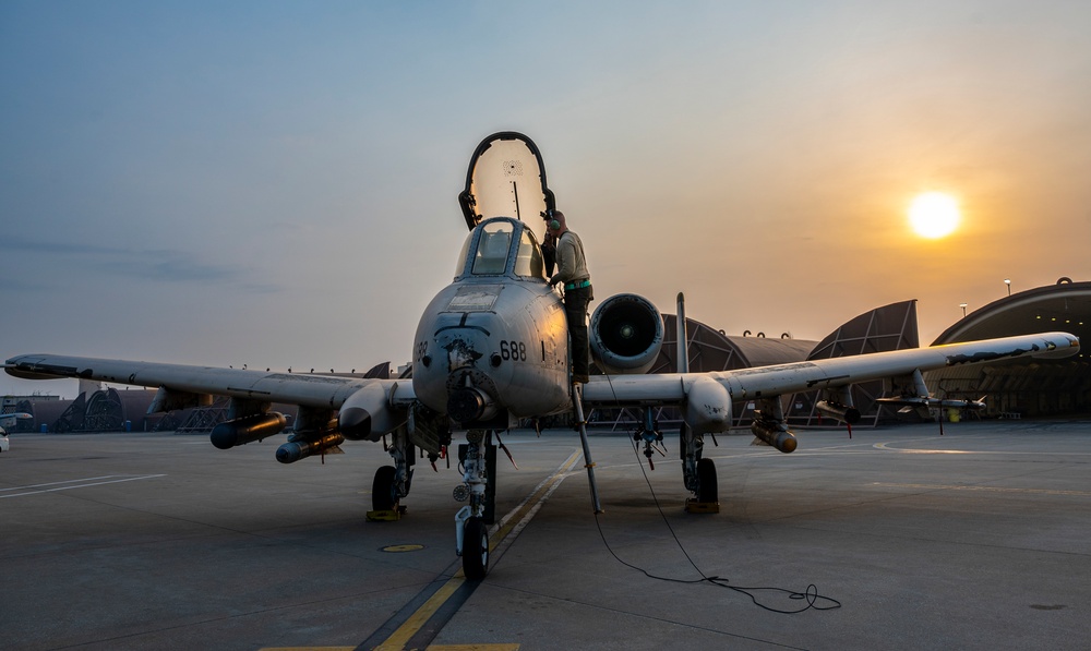 U.S. and ROK fly together as Buddy Squadrons