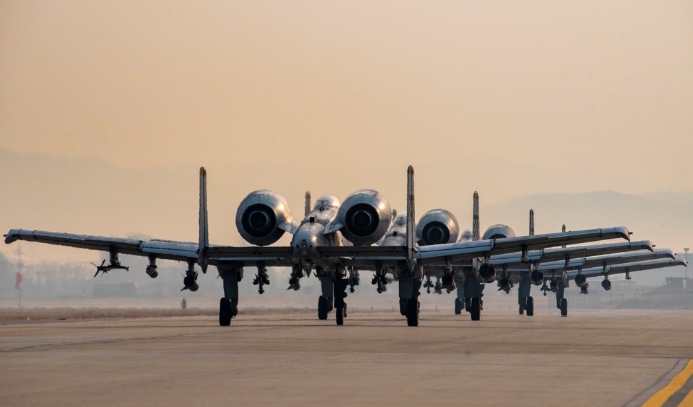 U.S. and ROK fly together as Buddy Squadrons