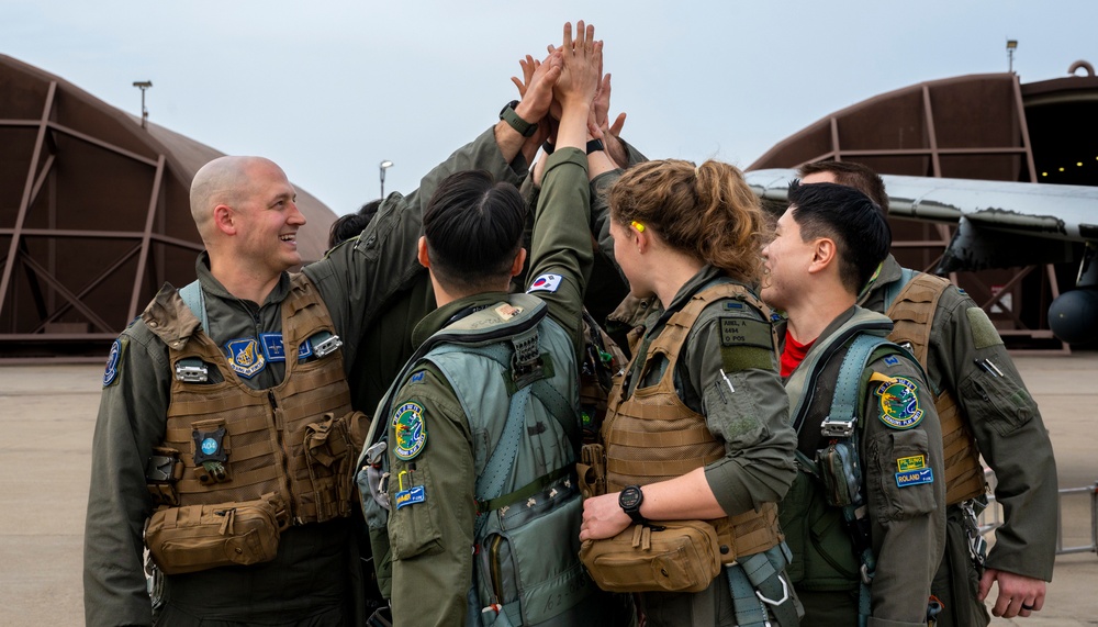 U.S. and ROK fly together as Buddy Squadrons