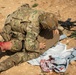 Coalition Forces conduct a casualty evacuation exercise