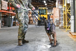 75th SFS MWD Bak and handler bond on first deployment