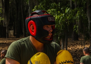 Alpha Company Body Sparring