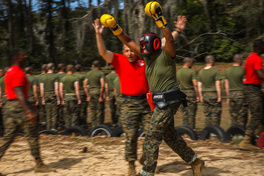 Alpha Company Body Sparring