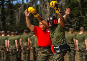 Alpha Company Body Sparring