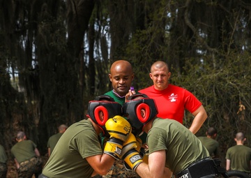 Alpha Company Body Sparring
