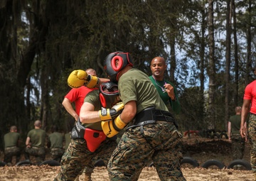 Alpha Company Body Sparring