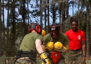 Alpha Company Body Sparring