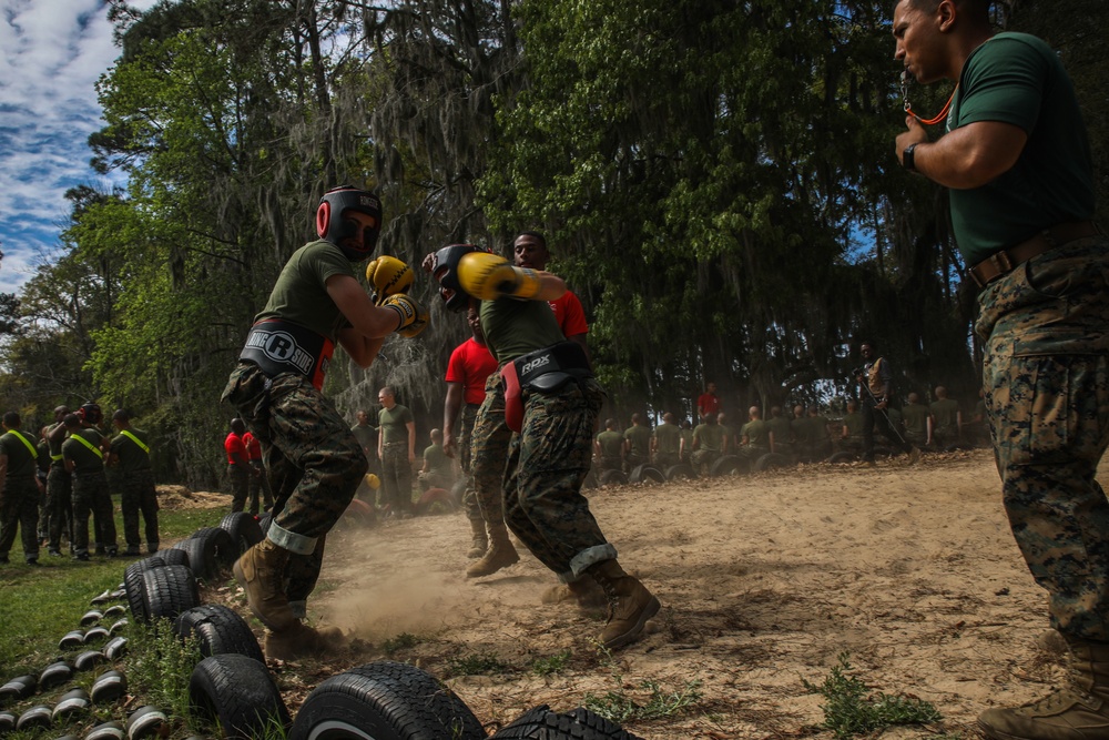 Alpha Company Body Sparring