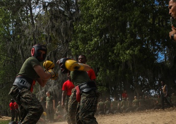 Alpha Company Body Sparring