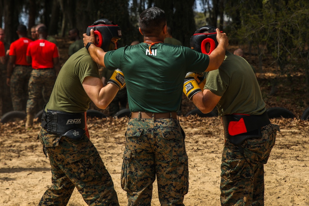 Alpha Company Body Sparring