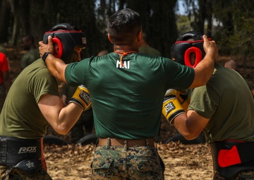 Alpha Company Body Sparring