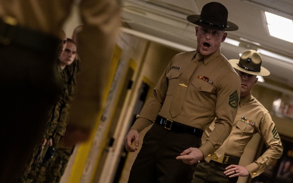 Echo Company Pick Up: Sit up straight, and look at me!