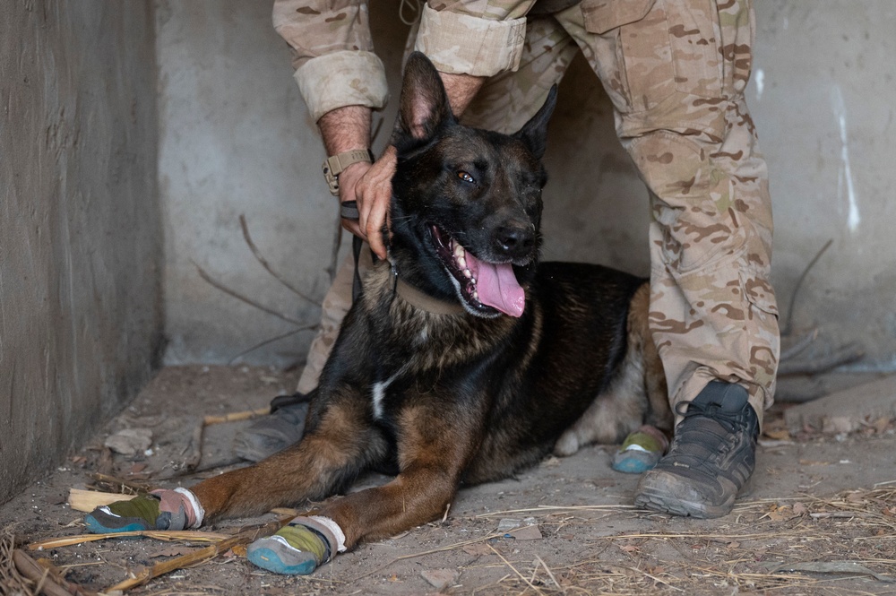 Mauritania, Austria conduct Raid and SSE training