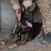 Mauritania, Austria conduct Raid and SSE training
