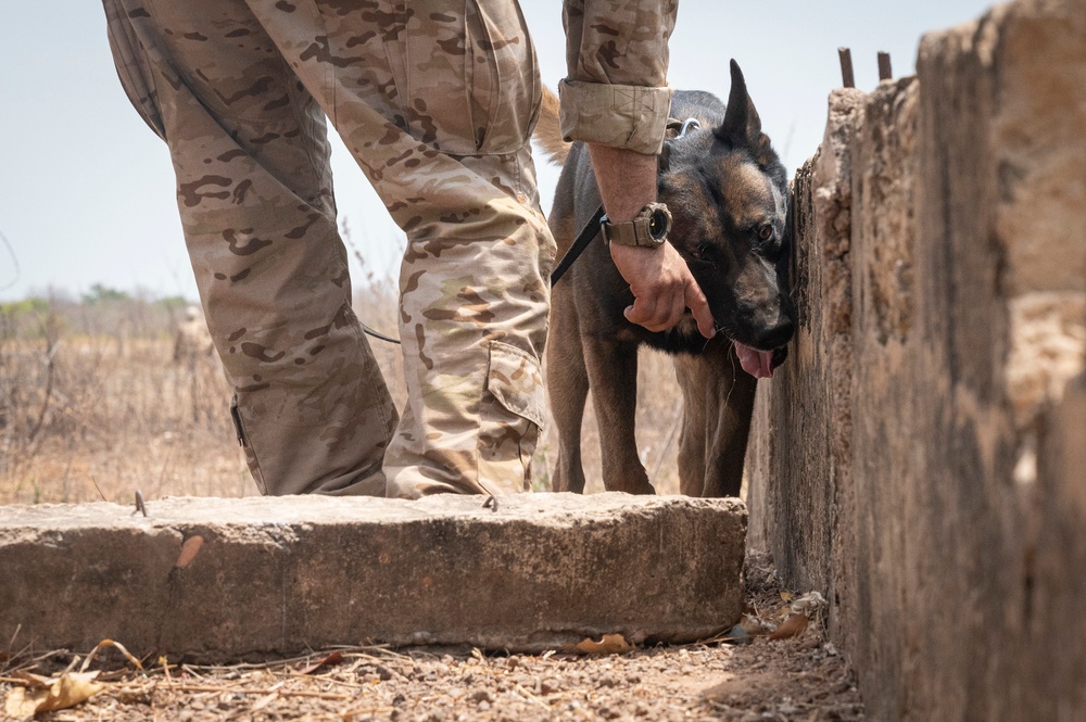 Mauritania, Austria conduct Raid and SSE training