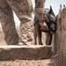 Mauritania, Austria conduct Raid and SSE training