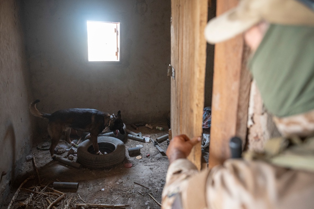 Mauritania, Austria conduct Raid and SSE training