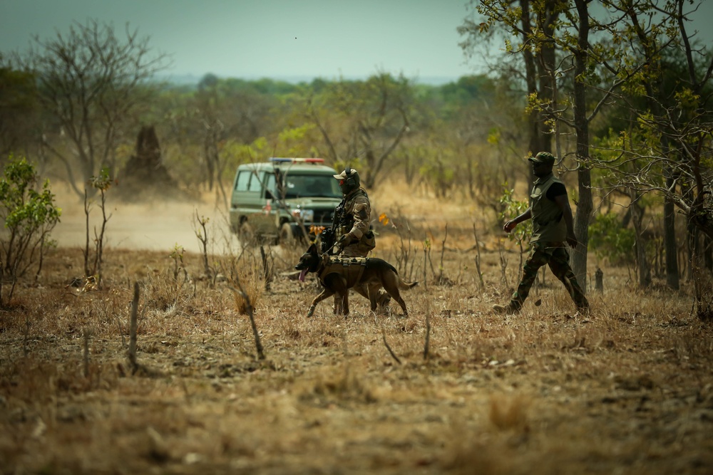 Tunisian and Moroccan Armed Forces conduct Raid Training