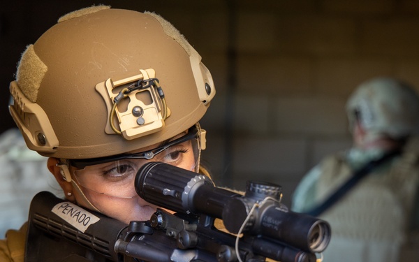 Maritime Expeditionary Security Squadron (MSRON) 11 Conducts Close Quarter Tactics (CQT) Training