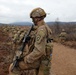Exercise Bayonet Apex