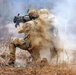 Exercise Bayonet Apex