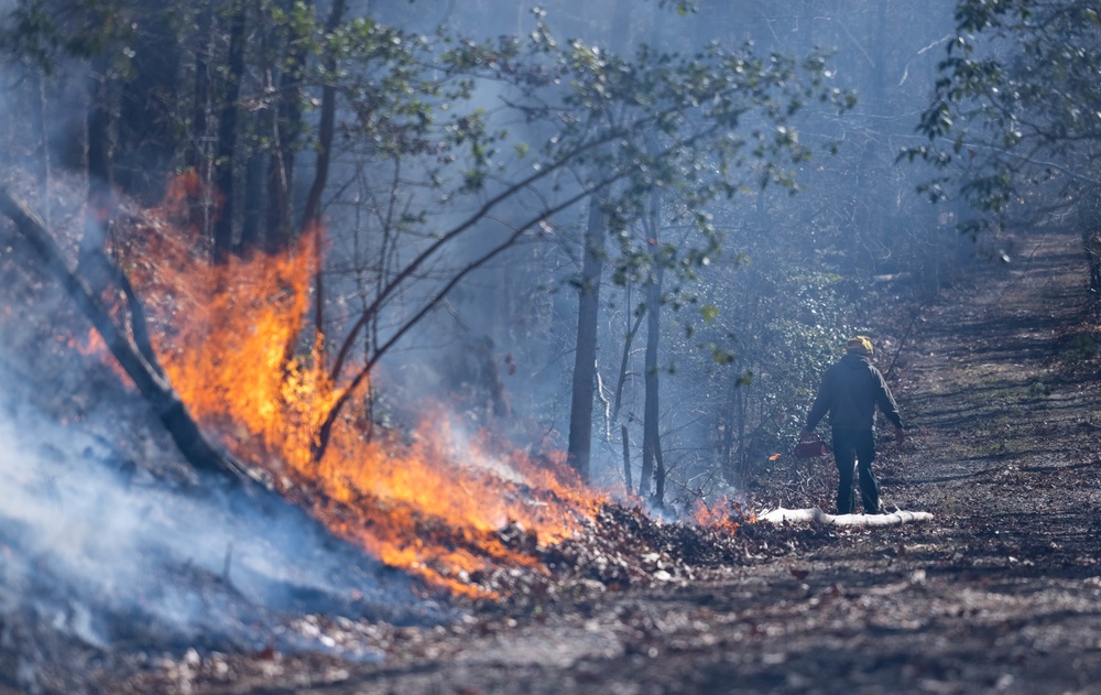 Quantico Fire &amp; Emergency Services and Natural Resources Environmental Affairs conduct controlled burns at Marine Corps Base Quantico