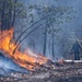 Quantico Fire &amp; Emergency Services and Natural Resources Environmental Affairs conduct controlled burns at Marine Corps Base Quantico