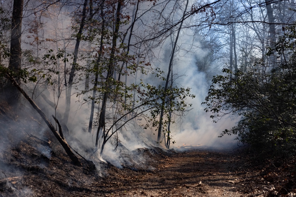 Quantico Fire &amp; Emergency Services and Natural Resources Environmental Affairs conduct controlled burns at Marine Corps Base Quantico