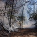 Quantico Fire &amp; Emergency Services and Natural Resources Environmental Affairs conduct controlled burns at Marine Corps Base Quantico