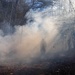 Quantico Fire &amp; Emergency Services and Natural Resources Environmental Affairs conduct controlled burns at Marine Corps Base Quantico