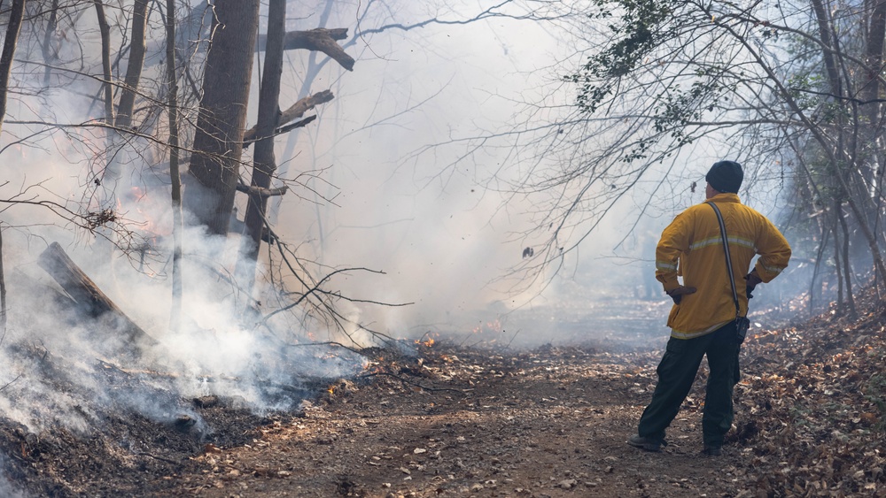 Quantico Fire &amp; Emergency Services and Natural Resources Environmental Affairs conduct controlled burns at Marine Corps Base Quantico