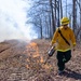 Quantico Fire &amp; Emergency Services and Natural Resources Environmental Affairs conduct controlled burns at Marine Corps Base Quantico