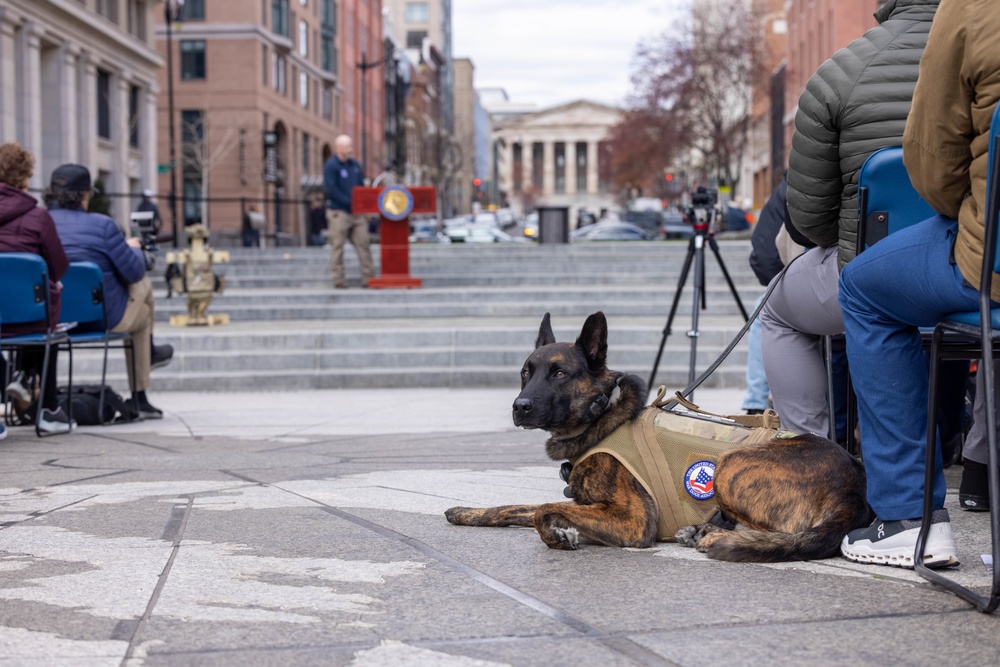 The United States War Dog Association hosts a K-9 Veterans Day Celebration Ceremony