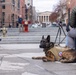 The United States War Dog Association hosts a K-9 Veterans Day Celebration Ceremony