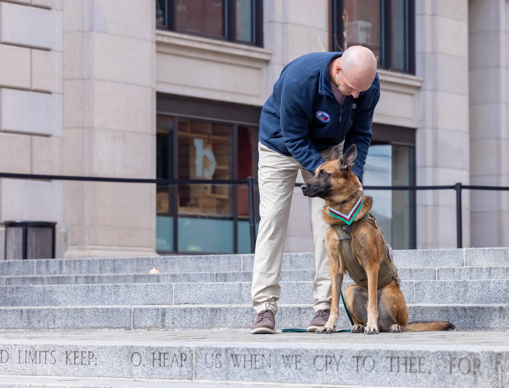 The United States War Dog Association hosts a K-9 Veterans Day Celebration Ceremony