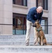 The United States War Dog Association hosts a K-9 Veterans Day Celebration Ceremony