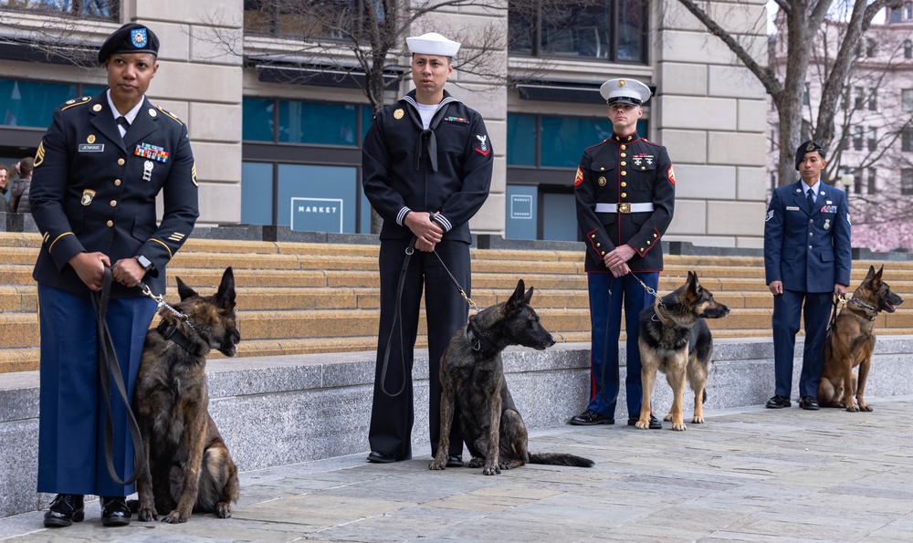 The United States War Dog Association hosts a K-9 Veterans Day Celebration Ceremony