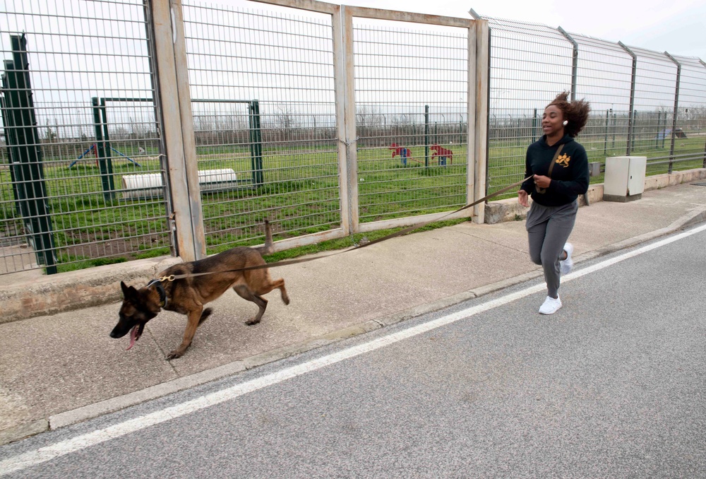 NSA Naples' MWR Fitness Hosts K9 5K Run and Demonstration