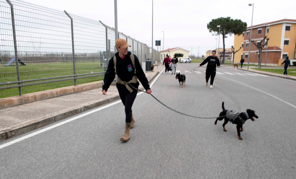 NSA Naples' MWR Fitness Hosts K9 5K Run and Demonstration