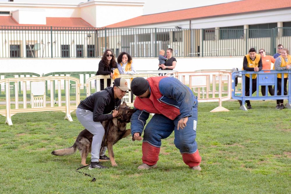 NSA Naples' MWR Fitness Hosts K9 5K Run and Demonstration