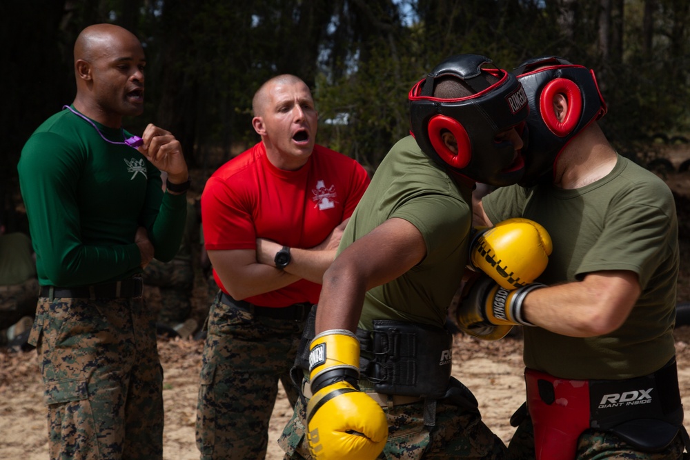 Alpha Company Body Sparring
