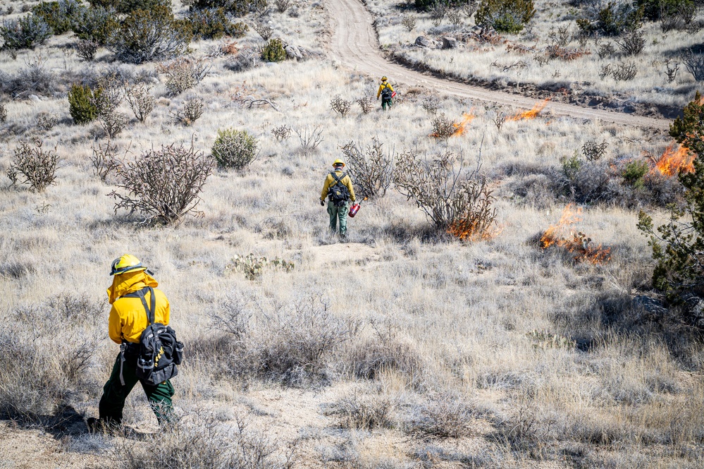 Kirtland Air Force Base Prescribed Burn