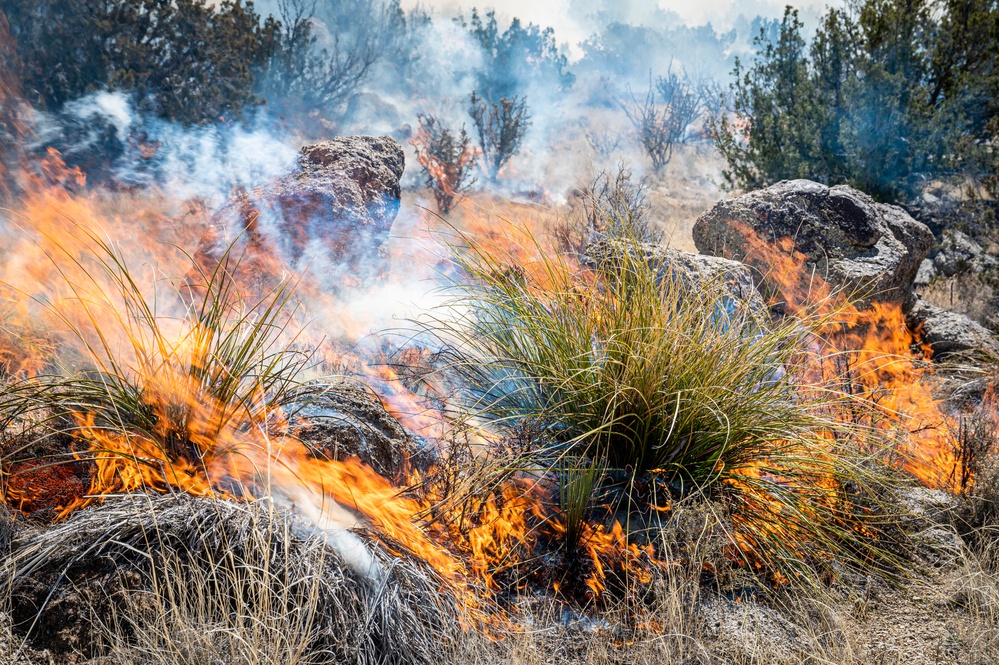 Kirtland Air Force Base Prescribed Burn