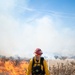 Kirtland Air Force Base Prescribed Burn