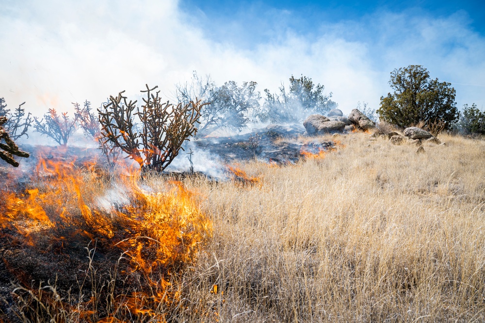 Kirtland Air Force Base Prescribed Burn