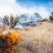 Kirtland Air Force Base Prescribed Burn