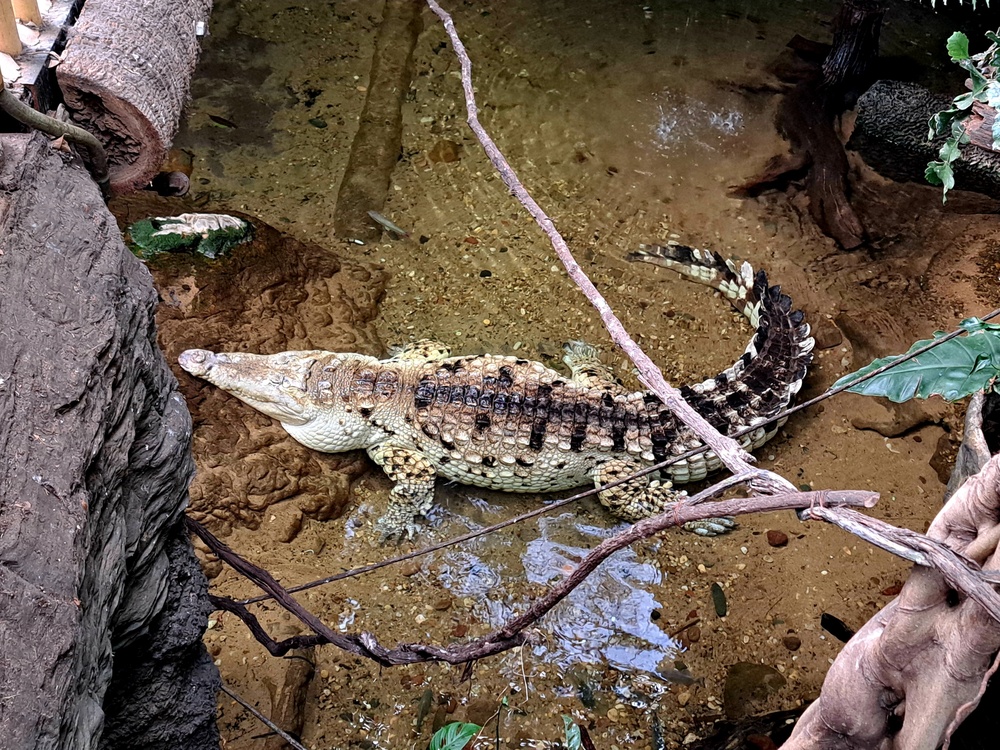 Aquarium features species from around world